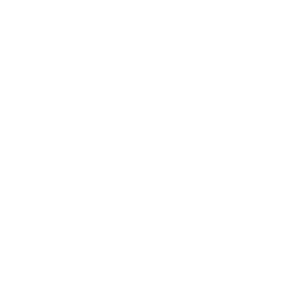 Call Icon